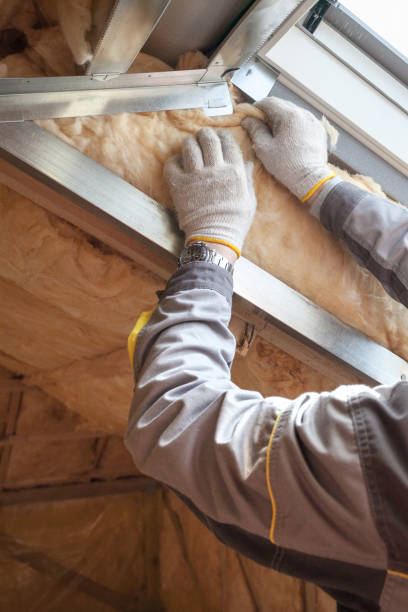 Best Attic Insulation Installation  in Steilacoom, WA