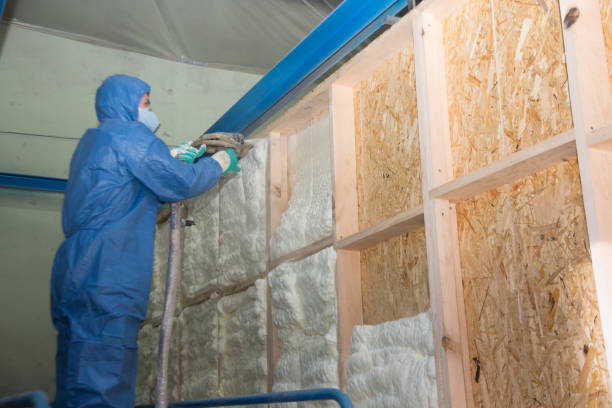 Best Cellulose Insulation  in Steilacoom, WA